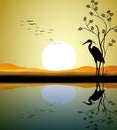 Heron silhouette on lake Royalty Free Stock Photo