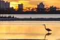 Heron Silhouette and Perdido Key Royalty Free Stock Photo