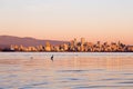 Heron in silhouette seen wading at low tide in the West Point Grey neighbourhood