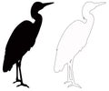 Heron silhouette - wildlife bird