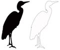 Heron silhouette - wildlife bird Royalty Free Stock Photo