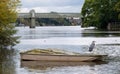 Heron sits on a rowing boat on the River Thames, photographed at Strand on the Green, Kew, London UK