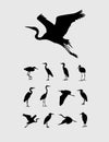 Heron and Stork Bird Silhouettes Royalty Free Stock Photo