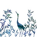 Heron in thicket of bamboo branches with leaves