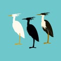 Heron vector illustration flat style silhouette Royalty Free Stock Photo