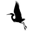 Heron vector illustration profile side black silhouette