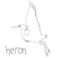 Heron vector illustration profile side coloring page
