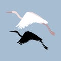 Heron vector illustration style Flat