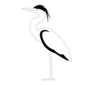 Heron walking , vector illustration, lining draw Royalty Free Stock Photo