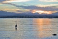 Heron in the water against the backdrop of a beautiful sunset Royalty Free Stock Photo