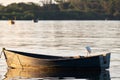 Heron, water bird resting on boat Royalty Free Stock Photo