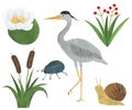 Heron watercolor bird reed flowers lily beetle snail set