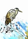 Heron on watercolor splashes on white background Royalty Free Stock Photo