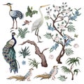 Herons, peacock, peonies and bird in chinoiserie style isolated. Vector. Royalty Free Stock Photo