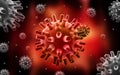 Herpes Simplex Virus