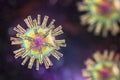 Herpes simplex virus