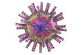 Herpes simplex virus Royalty Free Stock Photo