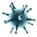 Herpes simplex virus