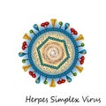 Herpes simplex virus particle structure