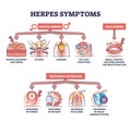 Herpes symptoms with genital, oral and recurrent outbreaks outline diagram