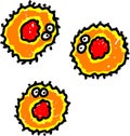 Herpes virus