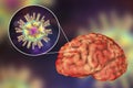 Herpes virus encephalitis, medical concept