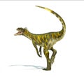 Herrerasaurus dinosaur, photorealistic representation. Dynamic v Royalty Free Stock Photo