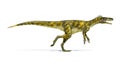 Herrerasaurus dinosaur, photorealistic representation. Side view Royalty Free Stock Photo