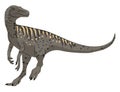 Herrerasaurus, illustration, vector Royalty Free Stock Photo