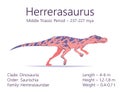 Herrerasaurus. Theropoda dinosaur. Colorful vector illustration of prehistoric creature herrerasaurus and description of Royalty Free Stock Photo
