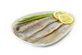 Herring