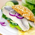 Herring in a bun Royalty Free Stock Photo