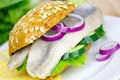 Herring in a bun Royalty Free Stock Photo