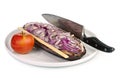 Herring dish Royalty Free Stock Photo