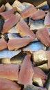 Herring filets in a boks, clupea harengus Royalty Free Stock Photo