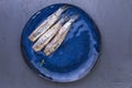 A herring fillet on a blue plate, a traditional Dutch delicacy. Delicious seafood meal. copy space. flat lay Royalty Free Stock Photo