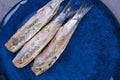 A herring fillet on a blue plate, a traditional Dutch delicacy. Tasty food. Copy space. Flat lay. Royalty Free Stock Photo