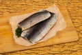 Herring Fillet with skin Royalty Free Stock Photo