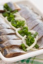 Herring fillets with herbs close-up Royalty Free Stock Photo