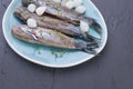 Herring fillets with onions on a blue plate, a traditional Dutch delicacy. Delicious seafood meal. Copy space. flat lay Royalty Free Stock Photo