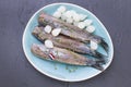 Herring fillets with onions on a blue plate, a traditional Dutch delicacy. Delicious seafood meal. Copy space. flat lay. Royalty Free Stock Photo