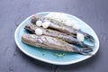 Herring fillets with onions on a blue plate, a traditional Dutch delicacy. Delicious seafood meal. Copy space. flat lay. Royalty Free Stock Photo