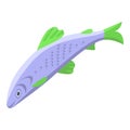 Herring fish icon isometric vector. Pacific sea Royalty Free Stock Photo