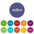 Herring fish set icons