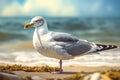 Herring gull on seashore. Generate ai