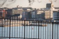 Herring gull sitting on a metal railing with a view over the city Royalty Free Stock Photo