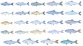 Herring icons set cartoon vector. Cod fish