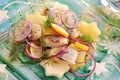 Herring salad with potato and apple Royalty Free Stock Photo