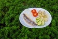 herring salad with vegetables on white plate top view Royalty Free Stock Photo