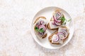 Herring sandwich. Toast with bread, herring and onion. Top view